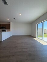 17260 English Chestnut Way in Land O Lakes, FL - Building Photo