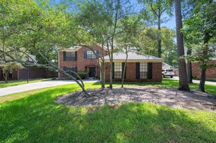 19 Kearny Brook Pl in Spring, TX - Building Photo - Building Photo