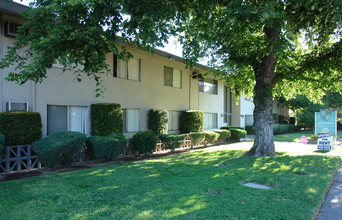 Terry Crest Apartments in Sacramento, CA - Building Photo - Building Photo