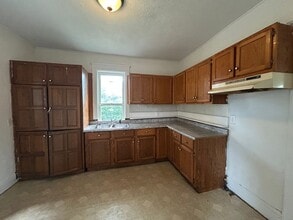 305 E Bowman St in South Bend, IN - Building Photo - Building Photo