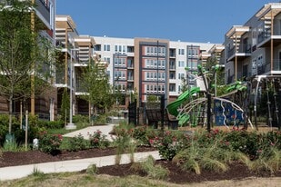 Allium Place in Silver Spring, MD - Building Photo