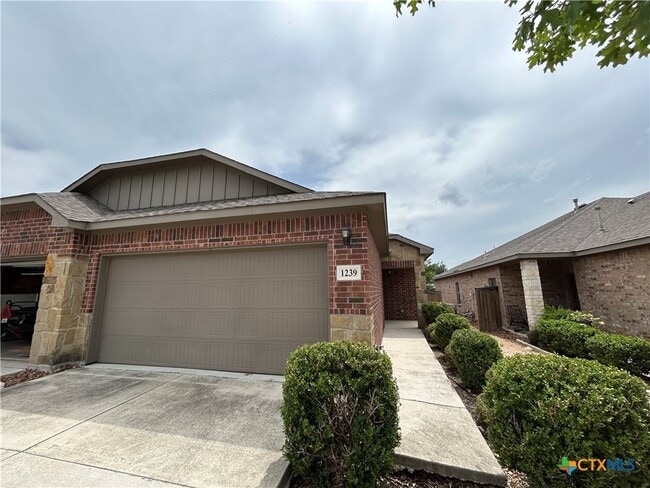 property at 1239 FM306