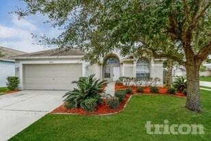 30812 Midtown Ct in Wesley Chapel, FL - Building Photo