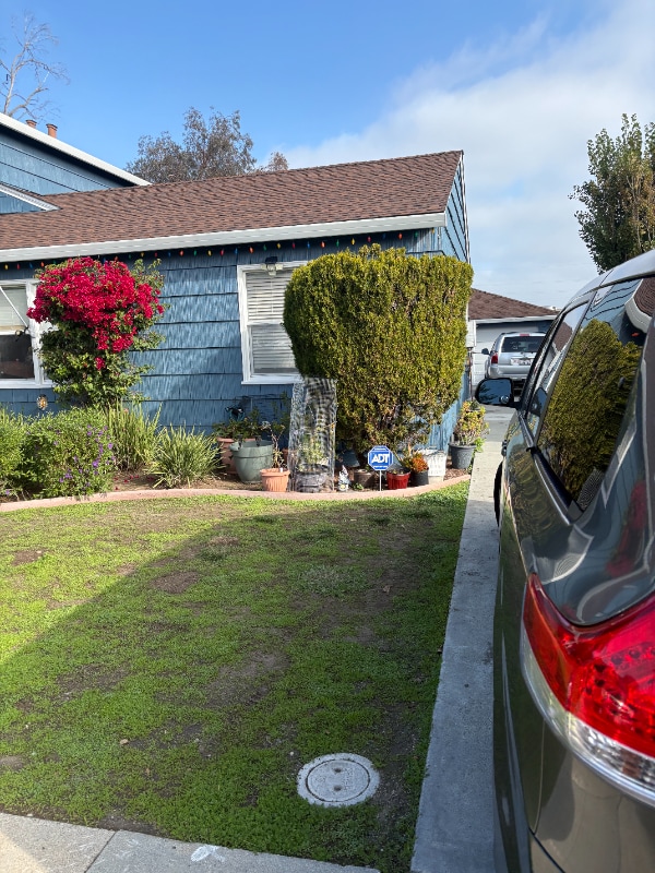 1041 Kedith St in Belmont, CA - Foto de edificio - Building Photo