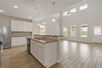 20730 Iron Timber Ln in Katy, TX - Building Photo - Building Photo
