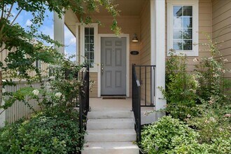330 Hortus Dr in Kyle, TX - Building Photo - Building Photo