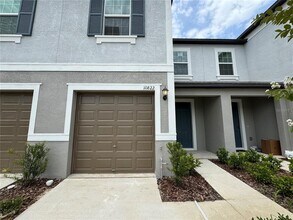 10822 Ft White Ct in Tampa, FL - Building Photo - Building Photo