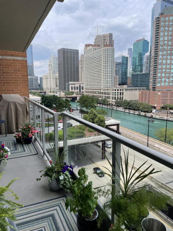 420 E Waterside Dr in Chicago, IL - Foto de edificio - Building Photo