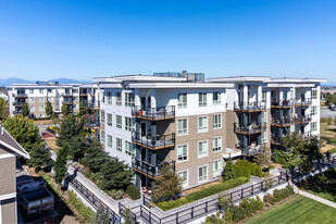 Coast At Tsawwassen Shores Apartments