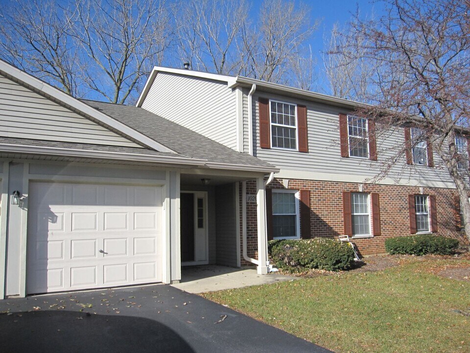 1020 Chaucer Ct in Elgin, IL - Building Photo