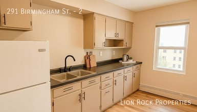 291 Birmingham St in St. Paul, MN - Building Photo - Building Photo