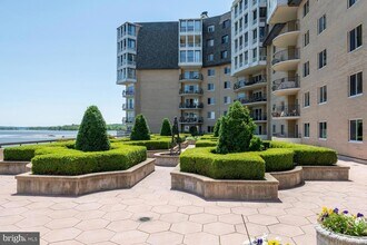 1250 S Washington St, Unit 107 in Alexandria, VA - Building Photo - Building Photo