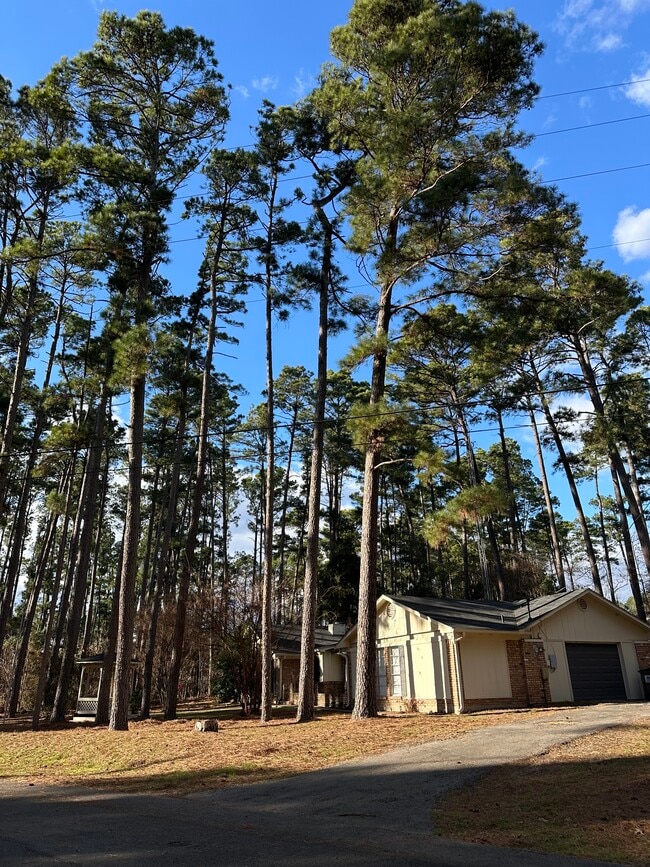 property at 509 Green Meadow Trail