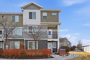 10847 Big Meadow Dr in South Jordan, UT - Building Photo