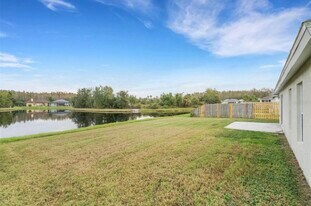 31115 Hannigan Pl in Wesley Chapel, FL - Building Photo