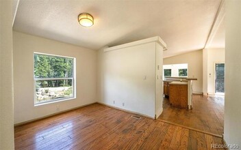 865 Silver Creek Rd in Idaho Springs, CO - Building Photo - Building Photo