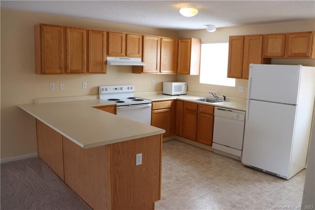 20 Firethorn Dr in Glastonbury, CT - Building Photo - Building Photo