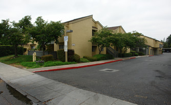 Morse Court Apartments in Sunnyvale, CA - Building Photo - Building Photo