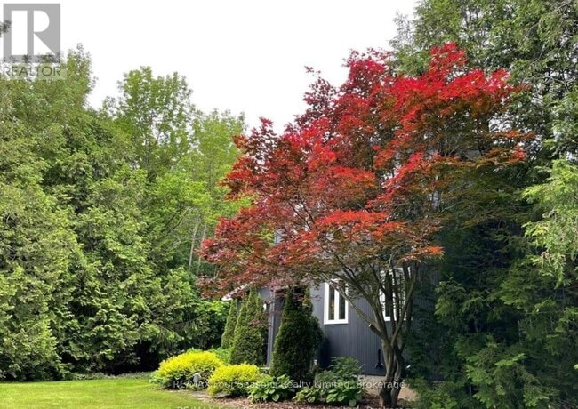 516666 7 Line in Blue Mountains, ON - Building Photo - Building Photo