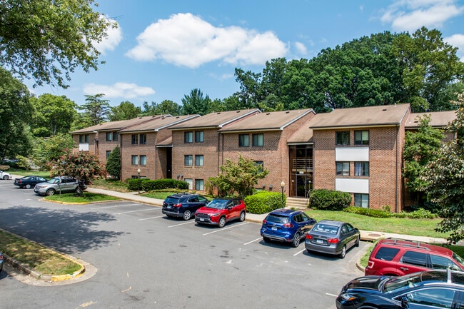Paramour Condo