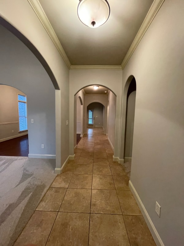 217 Lacey Ave in Alabaster, AL - Foto de edificio - Building Photo