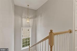 1511 Artillery Terrace NE in Leesburg, VA - Building Photo - Building Photo