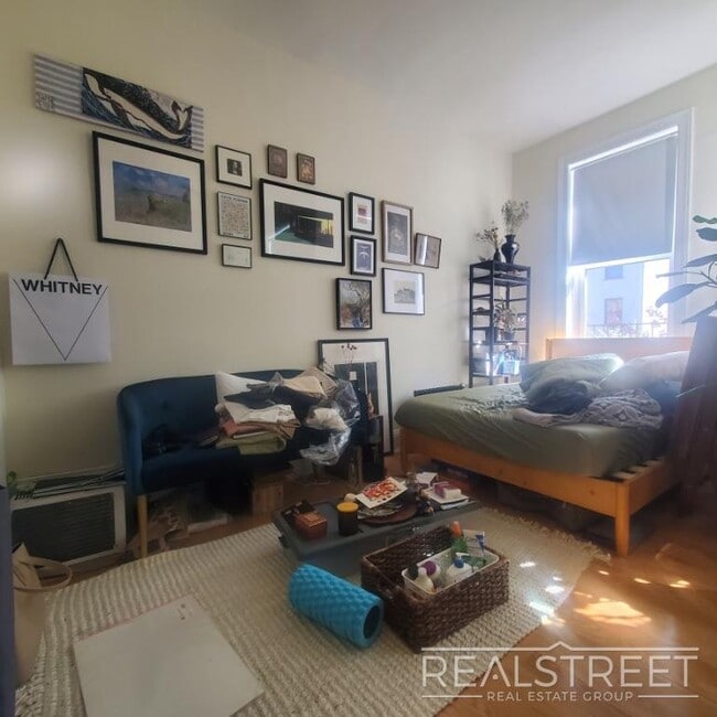 Spacious Sunny South Facing Studio One Block from Promenade, Unit 12 in Brooklyn, NY - Foto de edificio - Building Photo