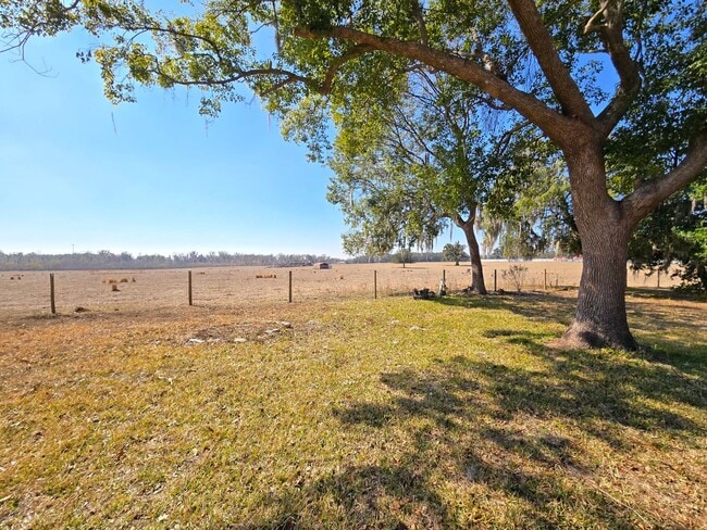 4211-4213 3 Oaks Rd in Plant City, FL - Building Photo - Building Photo