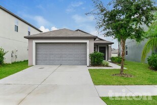 10026 RoseMary Leaf Ln in Riverview, FL - Building Photo