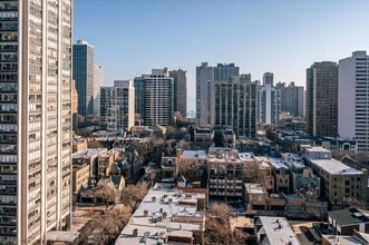 1460 N Sandburg Terrace in Chicago, IL - Building Photo - Building Photo