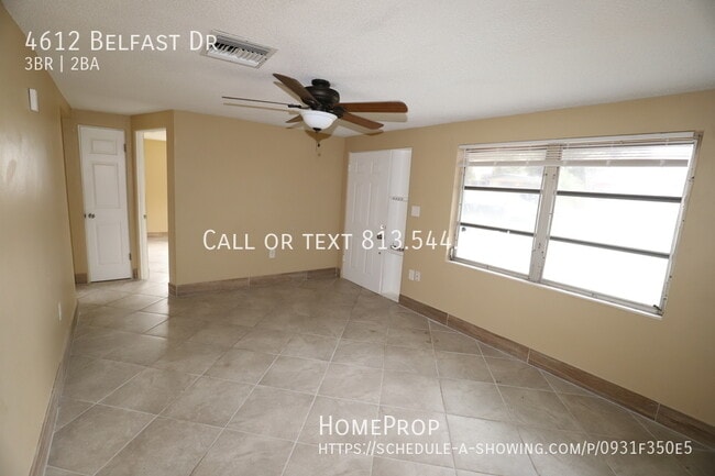 4612 Belfast Dr in New Port Richey, FL - Building Photo - Building Photo