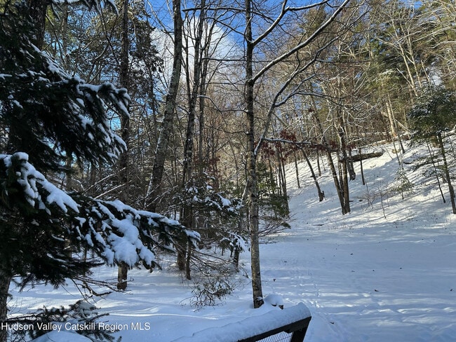 180 Yerry Hill Rd in Woodstock, NY - Building Photo - Building Photo