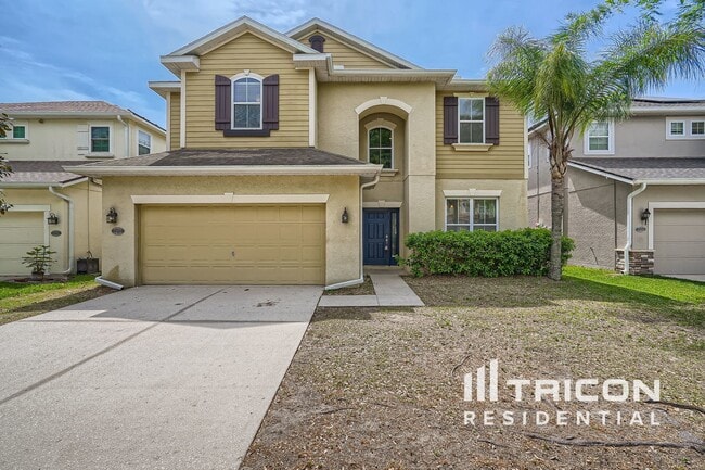 7982 Camden Woods Dr in Tampa, FL - Building Photo - Building Photo