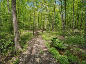 26 Woodland Cir in Hyde Park, NY - Building Photo - Building Photo