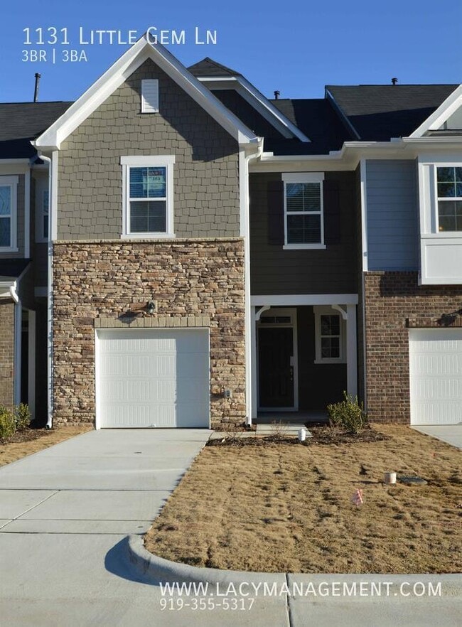 property at 1131 Little Gem Ln