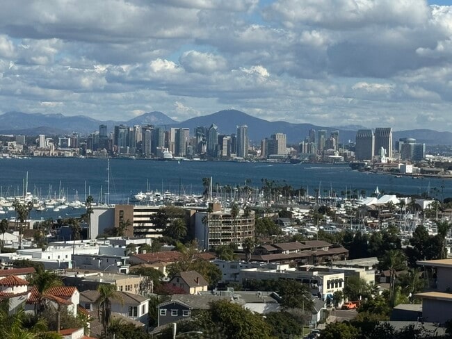 property at 3302 Martinez St