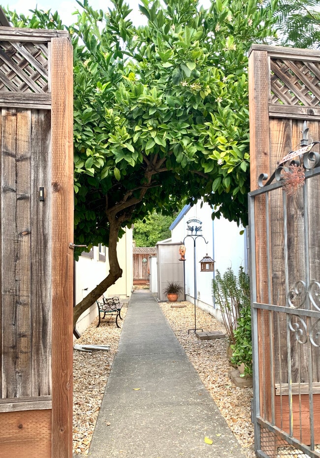 1056 Peggotty Pl in Santa Rosa, CA - Foto de edificio - Building Photo