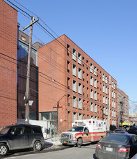 The Hegeman in Brooklyn, NY - Building Photo - Building Photo