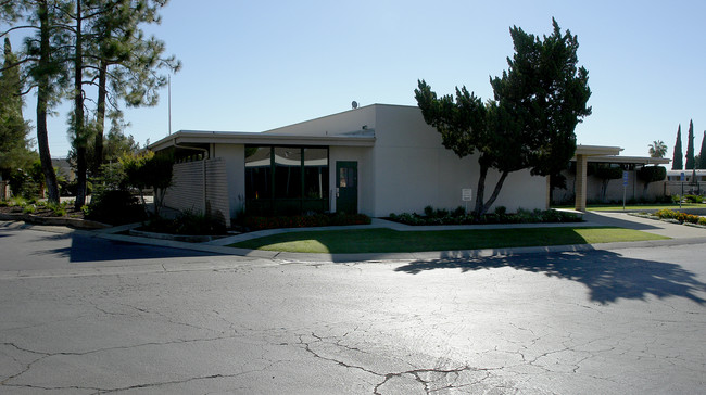 Pioneer Pines Mobile Home Park in Bakersfield, CA - Building Photo - Building Photo