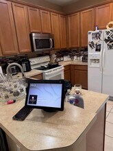 11517 Declaration Dr in Tampa, FL - Building Photo - Building Photo