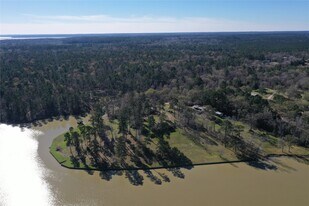 377 Burke St in Pointblank, TX - Building Photo