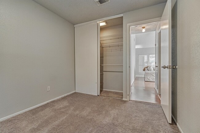 23419 Summer Pine Dr