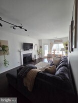 14322 Climbing Rose Way in Centreville, VA - Building Photo