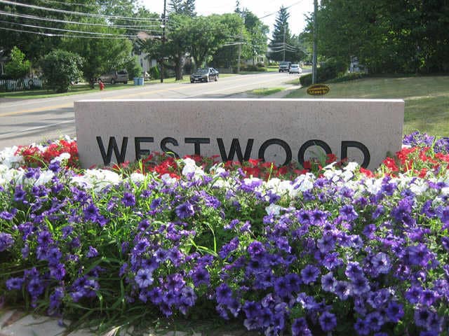 Westwood Apartments - SP Lafayette LLC in Medina, OH - Building Photo