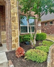 4001 Muscadine Dr in McKinney, TX - Foto de edificio - Building Photo