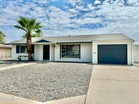 11013 N 110th Dr in Sun City, AZ - Building Photo