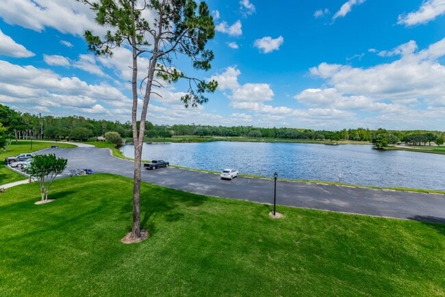 property at 36750 US Hwy 19 N