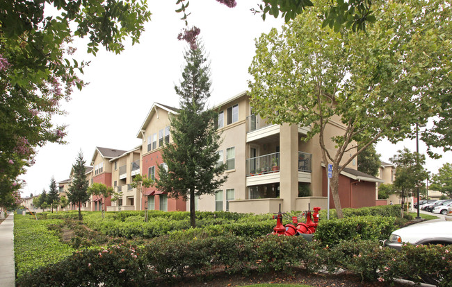 Arbor Park in San Jose, CA - Foto de edificio - Building Photo