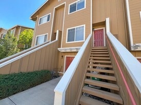 4646 Kathleen Denise Ln in Reno, NV - Building Photo