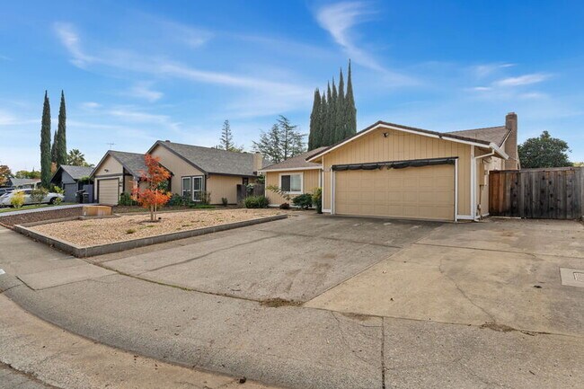 10028 Biscanewoods Way in Sacramento, CA - Building Photo - Building Photo